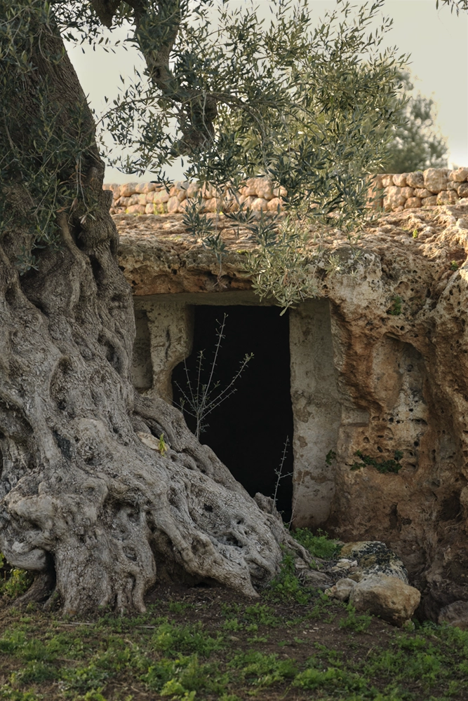 Grotta di Sulcus, cuore della tradizione dell'olio extravergine